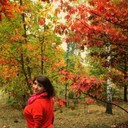 ���������� ����, ���� ������� ����, 50 ���, ������������ ��� ����� � ���������, c�������� ���������