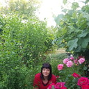  ,   , 46 ,   c 