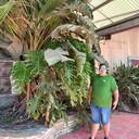  ,   , 36 ,   ,   , c 