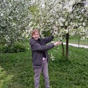 ���������� ������, ���� ������� ���, 61 ���, ������������ ��� ������, ����� � ���������