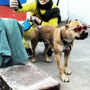 ���������� �����-���������, ���� ������� CALLlA, 39 ���, ������������ ��� ������, ����� � ���������, c�������� ���������