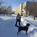 ���������� ������, ���� ������� �����, 33 ����, ������������ ��� ������, ����� � ���������, c�������� ���������, ���������