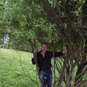  ,   , 41 ,   ,   , c , 