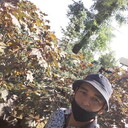 ���������� �������, ���� ������� ������, 33 ����, ������������ 