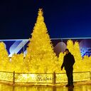 ���������� ������, ���� ������� �������, 28 ���, ������������ ��� ������, ����� � ���������, c�������� ���������, ���������