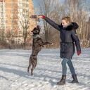 ���������� �����������, ���� ������� ����, 31 ���, ������������ ��� ������, ����� � ���������