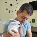 ���������� ������, ���� ������� �����, 30 ���, ������������ ��� ������, ����� � ���������