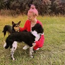  ,   , 28 ,     , c 