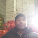 ���������� ���������, ���� ������� Shaxa, 44 ����, ������������ ��� ������, ����� � ���������, c�������� ���������