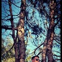 ���������� ���������, ���� ������� �����, 29 ���, ������������ ��� ����� � ���������, c�������� ���������