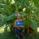  ,   , 55 ,     , c 