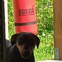 ���������� �����������, ���� ������� ������, 39 ���, ������������ ��� ������, ����� � ���������