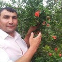  ,   RAFO, 56 ,   