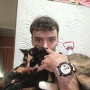  ,   , 29 ,     , c , 