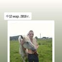   ,   , 46 ,   ,   , c , 