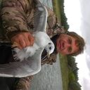 ���������� �������, ���� ������� �����, 44 ����, ������������ ��� c�������� ���������