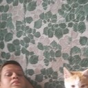  -,   , 29 ,   ,   , c 