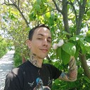  ,   , 26 ,     , c 