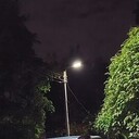 ���������� �����-���������, ���� ����� ������, 24 ����, ������������ ��� ������, ����� � ���������, c�������� ���������, ���������