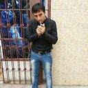 ���������� ����, ���� ������� GUSTIK QAQA, 40 ���, ������������ ��� ������, ����� � ���������, c�������� ���������