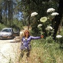 ���������� ���������, ���� ������� Arena, 65 ���, ������������ ��� ������, ����� � ���������, c�������� ���������