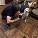 ���������� �������, ���� ����� Giorgi, 3 ����, ������������ ��� ������, ����� � ���������