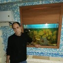 ���������� ���������, ���� ������� ���������, 48 ���, ������������ ��� ������, ����� � ���������, c�������� ���������