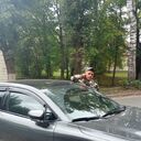  ,   Dmitry, 40 ,   ,   , c 