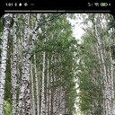  ,   Kerimmusayev, 64 ,   ,   