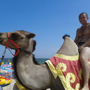  ,   VIK, 36 ,     , c 