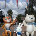 ���������� ������, ���� ������� ���, 41 ���, ������������ 