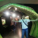 ���������� �������, ���� ������� ������, 40 ���, ������������ ��� ������, ����� � ���������, c�������� ���������, ���������