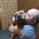  ,   , 50 ,   ,   