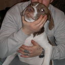 ���������� ������, ���� ������� Petya, 50 ���, ������������ ��� ������, ����� � ���������, c�������� ���������