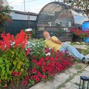 ���������� ���������, ���� ������� ����, 52 ����, ������������ ��� ������, ����� � ���������, c�������� ���������, ���������