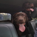 ���������� �����-���������, ���� ������� ���������, 48 ���, ������������ ��� ������, ����� � ���������, c�������� ���������