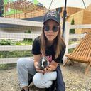 ���������� ������-��-����, ���� ������� �����, 33 ����, ������������ ��� ������, ����� � ���������, c�������� ���������, ���������