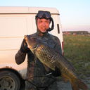  ,   , 44 ,   
