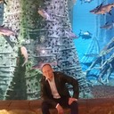 ���������� �������, ���� ������� ���������, 38 ���, ������������ ��� ������, ����� � ���������, c�������� ���������