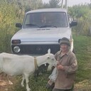 ���������� ������, ���� ������� ��������, 72 ����, ������������ ��� ������, ����� � ���������, c�������� ���������