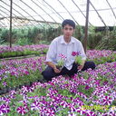 ���������� �������, ���� ������� Farruh, 35 ���, ������������ ��� ������, ����� � ���������, c�������� ���������