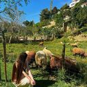 ���������� ������, ���� ������� �����, 27 ���, ������������ ��� ������, ����� � ���������