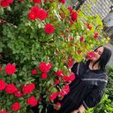 ���������� ���������, ���� ������� ��������, 27 ���, ������������ ��� ������, ����� � ���������