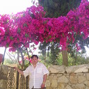  ,   , 56 ,  