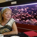   ,   , 65 ,     , c 