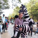 ���������� �����, ���� ������� �������, 33 ����, ������������ ��� ������, ����� � ���������, c�������� ���������, ���������