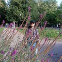  ,   , 51 ,   ,   