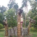 ���������� ������-��-����, ���� ������� �����, 29 ���, ������������ ��� c�������� ���������