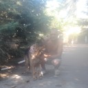  ,   Sergei, 48 ,  