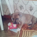 ���������� ����, ���� ������� Valera, 39 ���, ������������ ��� ������